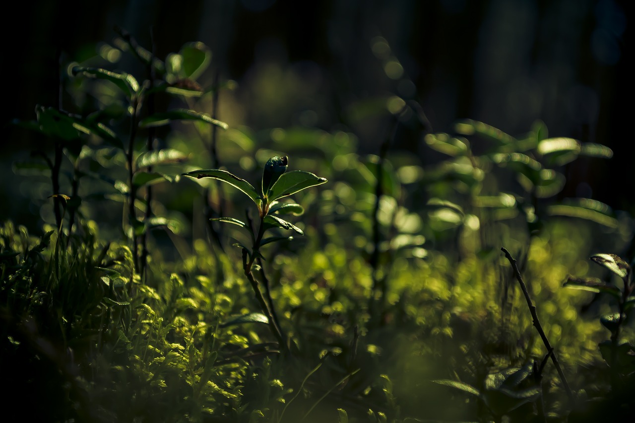 How Green Energy Solutions Are Reshaping The Future